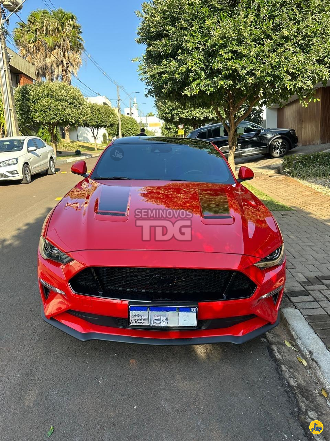CARRO FORD Mustang GT V8 Seminovos TDG MARINGA PARANÁ PR